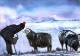 32 - Diane Poole - Feeding the Sheep - Watercolour.jpg